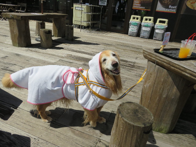 ファイル 5796-4.jpg