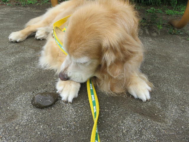 ファイル 5799-2.jpg