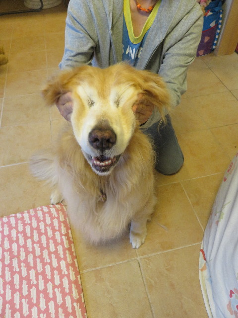 ファイル 5799-4.jpg