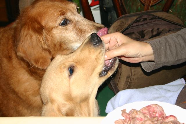 ファイル 58-1.jpg