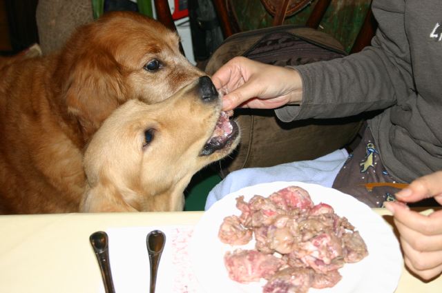 ファイル 58-2.jpg