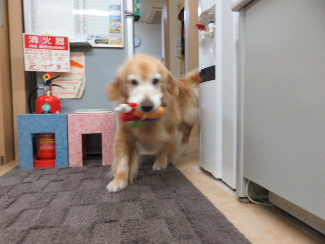 ファイル 5800-3.jpg