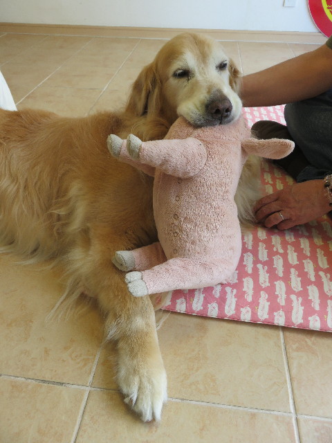 ファイル 5802-5.jpg