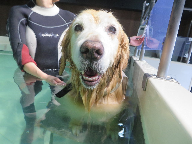 ファイル 5803-3.jpg