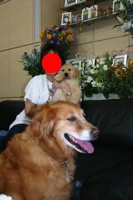 ファイル 5805-4.jpg