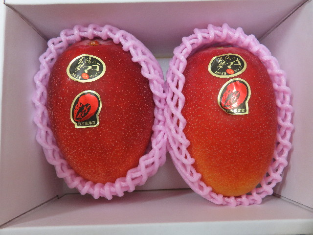 ファイル 5813-4.jpg