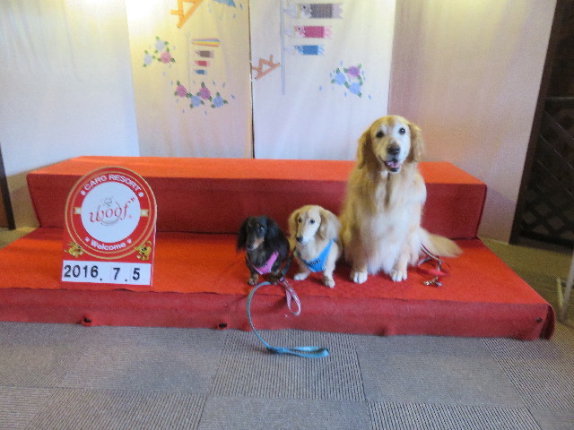 ファイル 5816-1.jpg