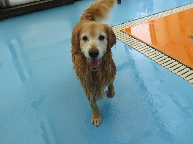 ファイル 5816-3.jpg