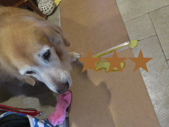 ファイル 5818-1.jpg