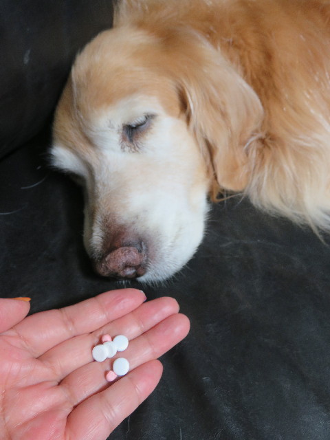 ファイル 5818-2.jpg