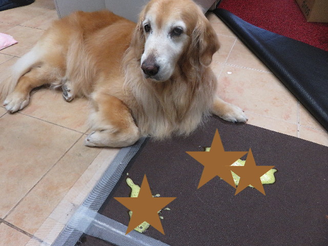 ファイル 5818-4.jpg