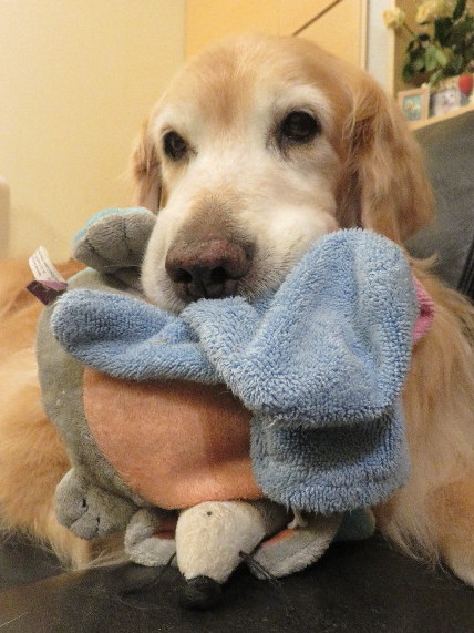 ファイル 5819-2.jpg