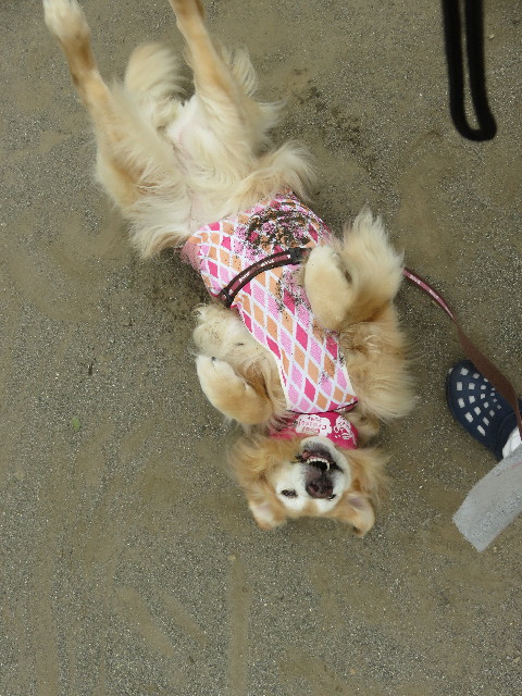 ファイル 5819-3.jpg