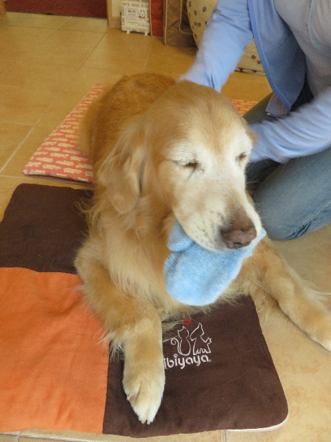 ファイル 5819-4.jpg