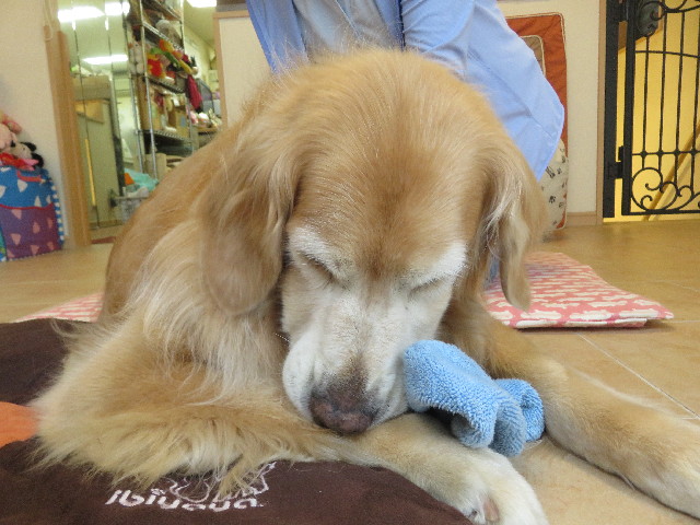 ファイル 5819-5.jpg