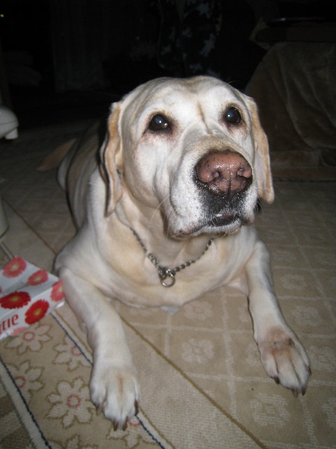 ファイル 582-3.jpg