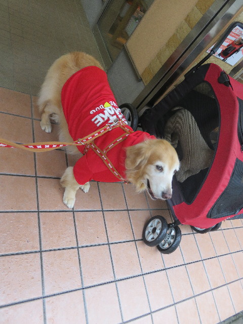 ファイル 5821-1.jpg