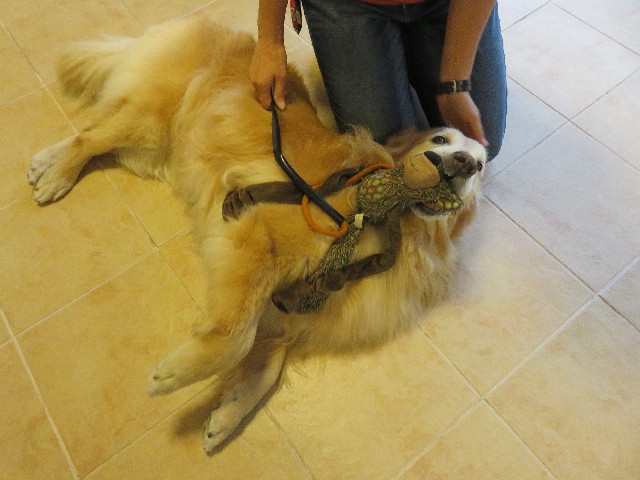 ファイル 5821-2.jpg