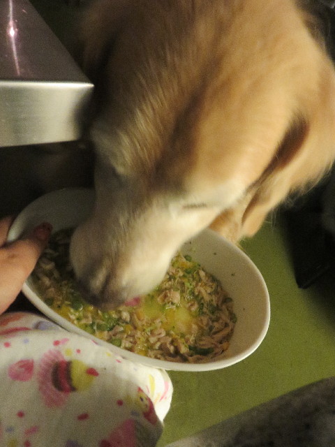 ファイル 5822-4.jpg