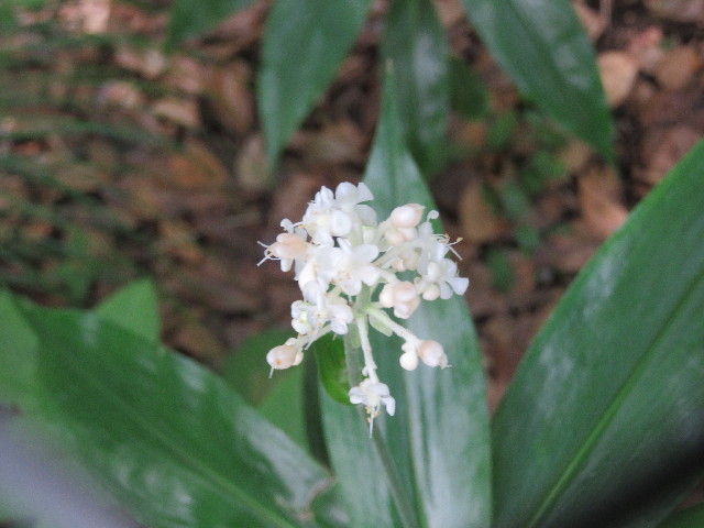 ファイル 5823-3.jpg