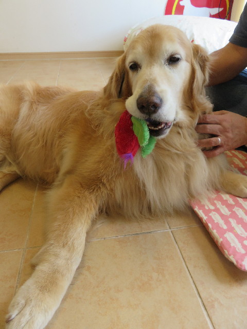 ファイル 5823-4.jpg