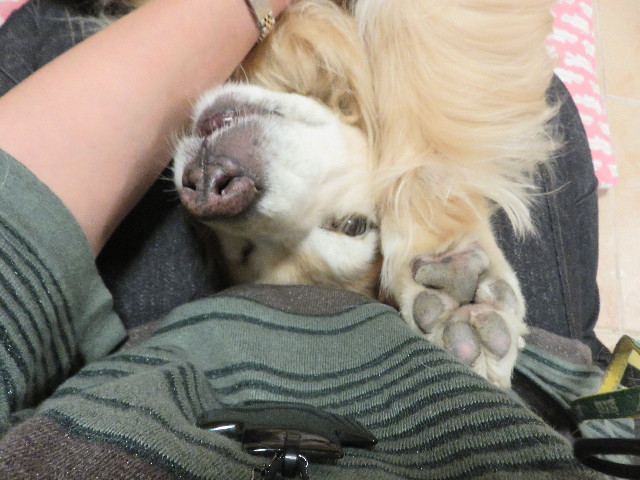 ファイル 5823-5.jpg