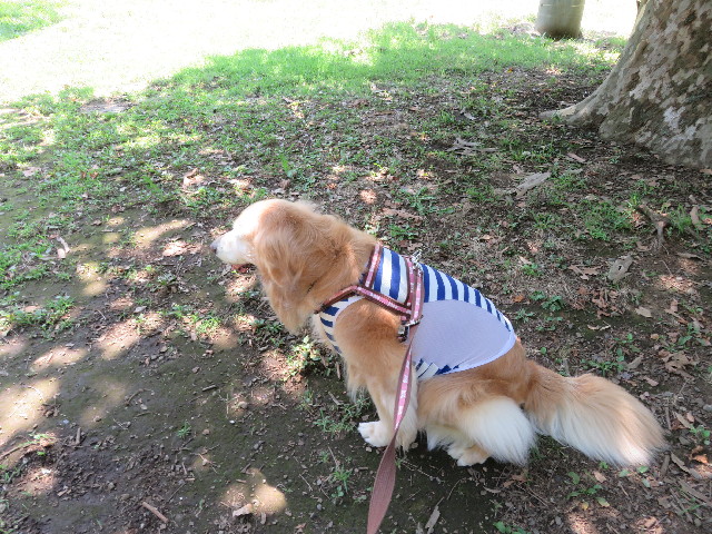 ファイル 5824-1.jpg