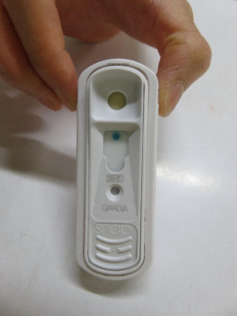 ファイル 5824-2.jpg