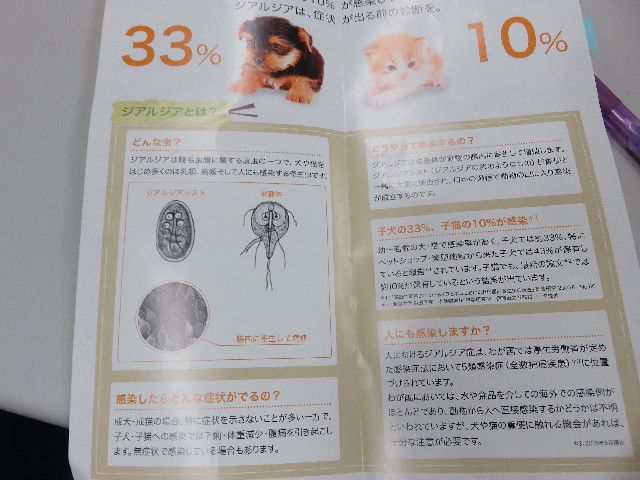 ファイル 5824-3.jpg