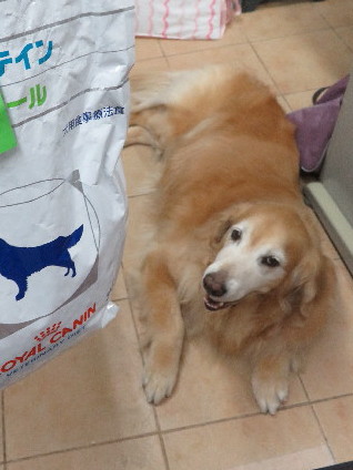 ファイル 5824-4.jpg