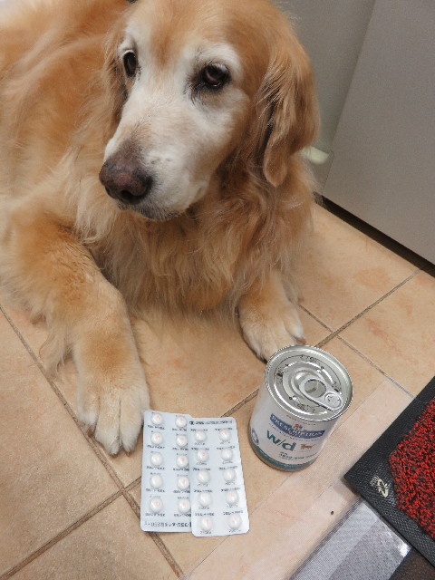 ファイル 5824-5.jpg