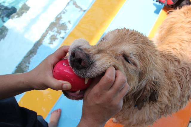 ファイル 5826-4.jpg