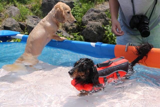 ファイル 5826-5.jpg