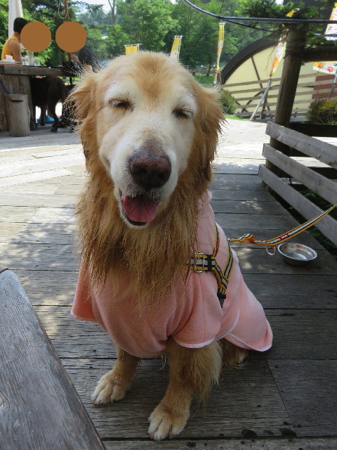 ファイル 5827-1.jpg