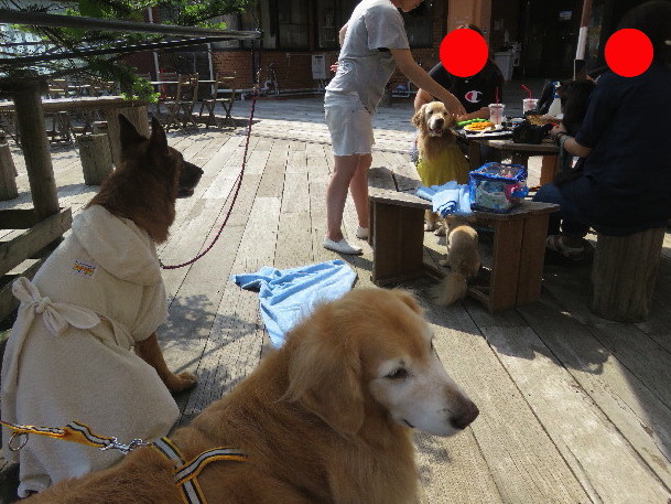 ファイル 5827-2.jpg