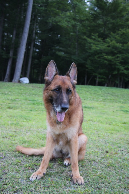 ファイル 5827-3.jpg