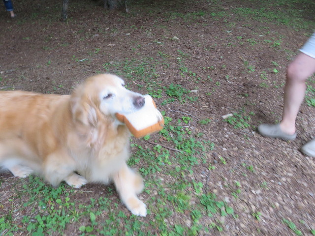 ファイル 5828-3.jpg