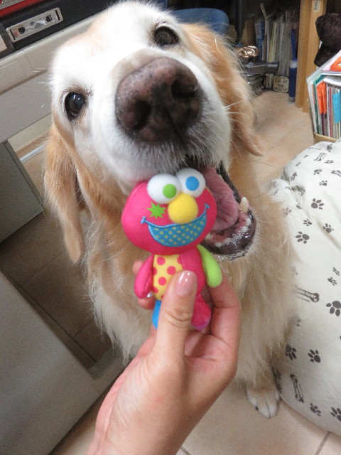 ファイル 5830-3.jpg