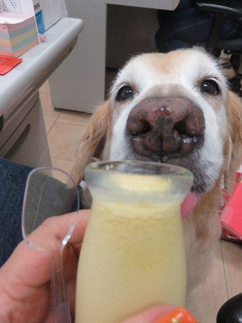 ファイル 5831-3.jpg