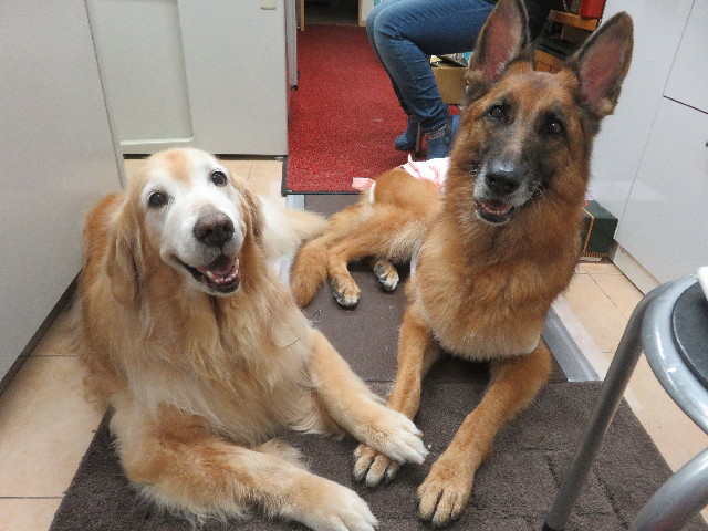 ファイル 5832-1.jpg