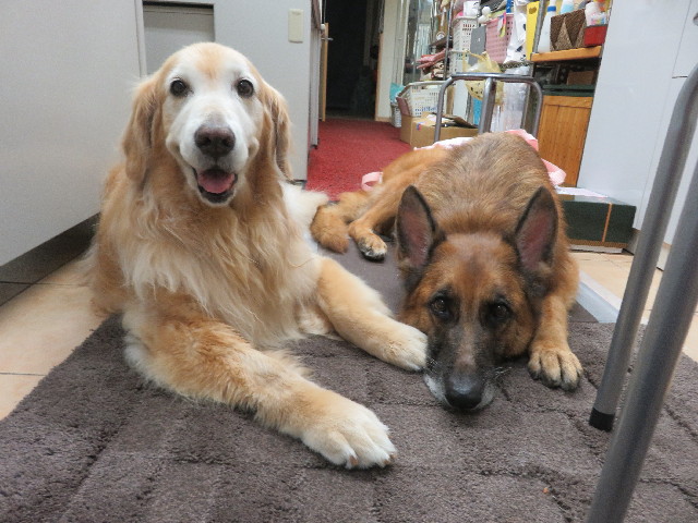 ファイル 5832-2.jpg