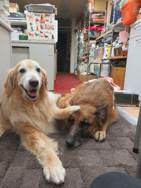 ファイル 5832-3.jpg