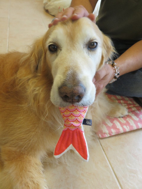 ファイル 5832-5.jpg