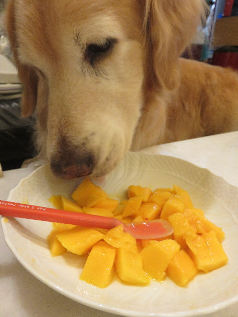 ファイル 5833-5.jpg