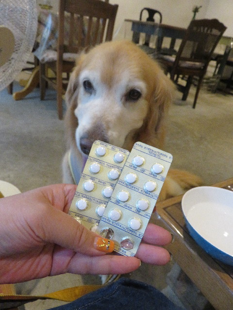 ファイル 5836-4.jpg