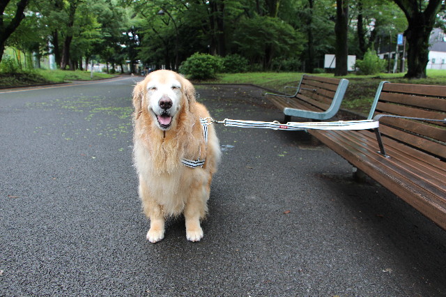 ファイル 5837-2.jpg