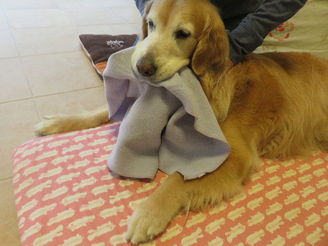 ファイル 5837-3.jpg