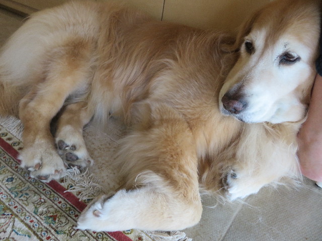 ファイル 5837-5.jpg