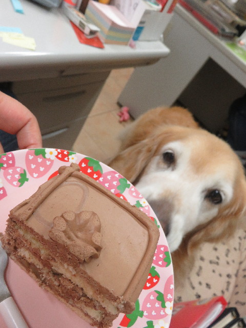 ファイル 5838-3.jpg