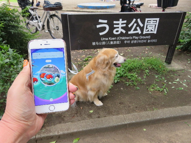 ファイル 5839-4.jpg